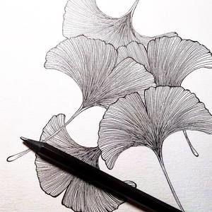 Meet your Posher, Mo